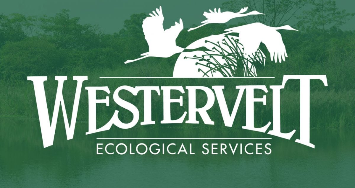 Westervelt Ecological Services portfolio thumbnail