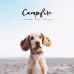 Campfire Natural Dog treats image of dog on beach