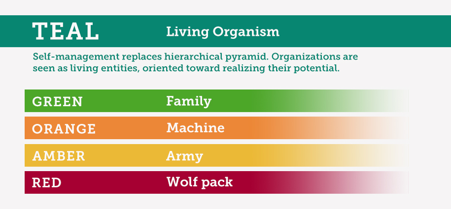 Business Structures including TEAL