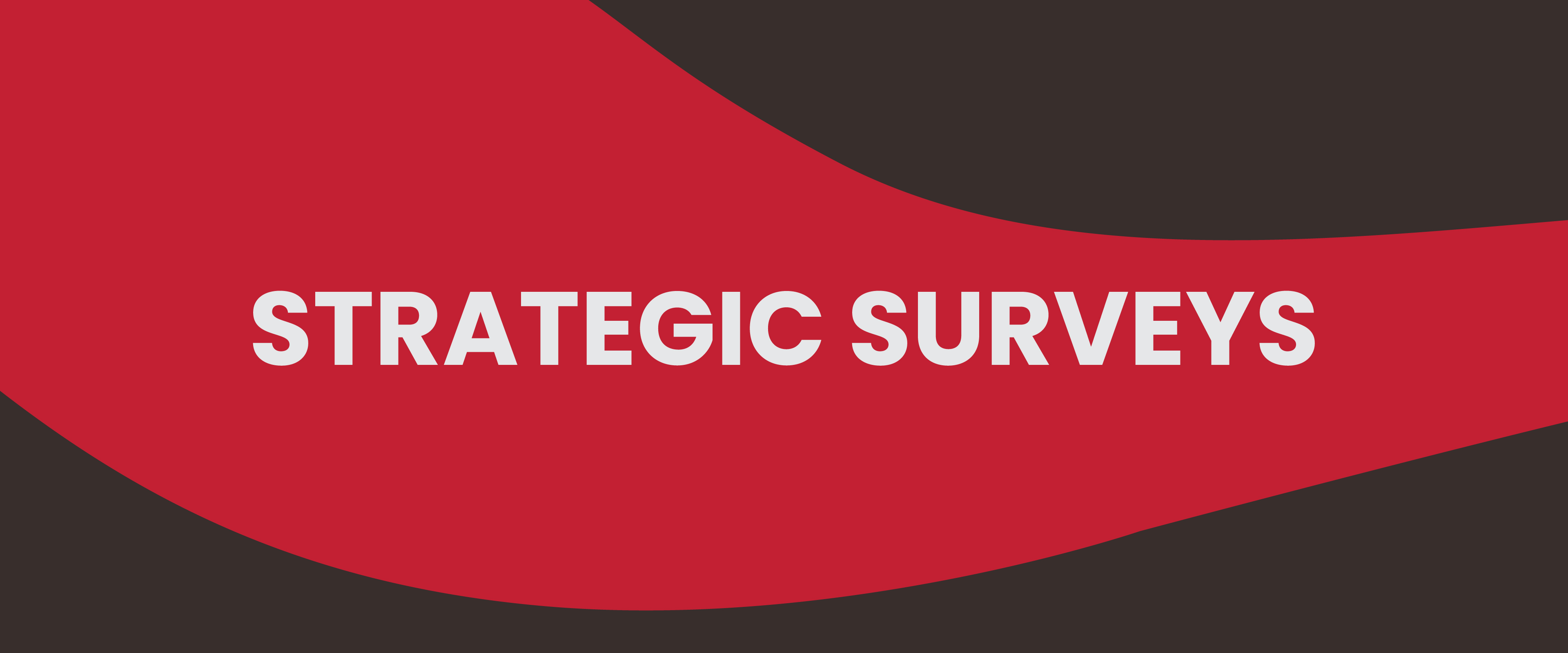 Strategic Surveys