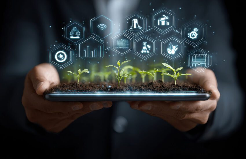 Planting the Perfect Website