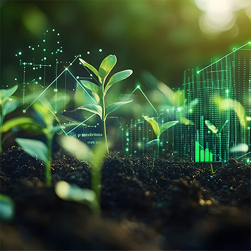 small plants growing