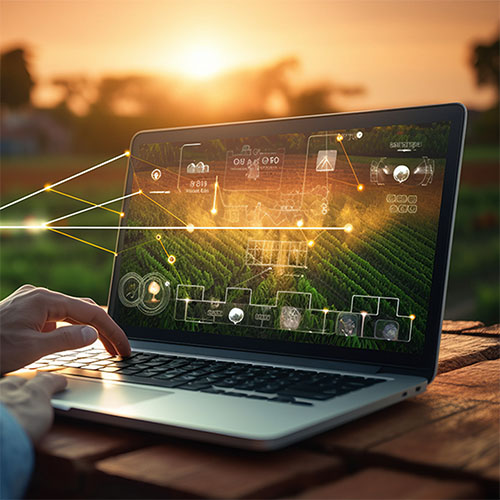 A person using a laptop outdoors on a wooden table